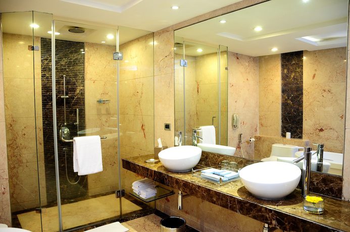 Imagen de la habitación del Hotel Radisson Blu Plaza Delhi Airport. Foto 13