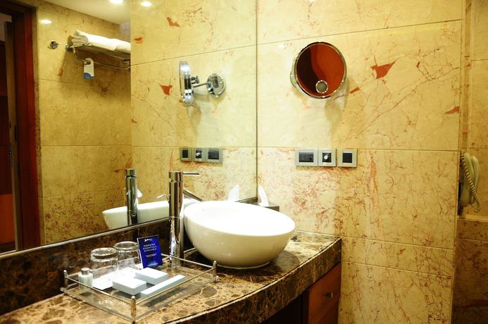 Imagen de la habitación del Hotel Radisson Blu Plaza Delhi Airport. Foto 15
