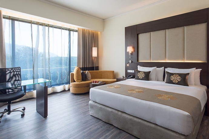 Imagen de la habitación del Hotel Radisson Blu Plaza Mysore. Foto 14