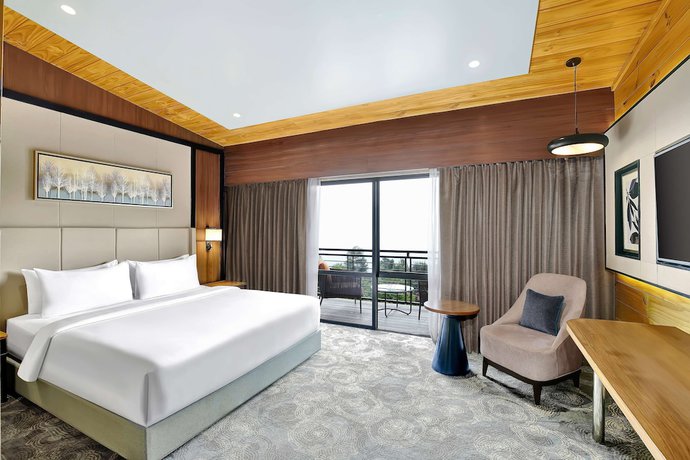 Imagen de la habitación del Hotel Radisson Blu Resort Dharamshala. Foto 12