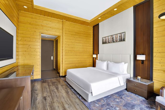 Imagen de la habitación del Hotel Radisson Blu Resort Dharamshala. Foto 14
