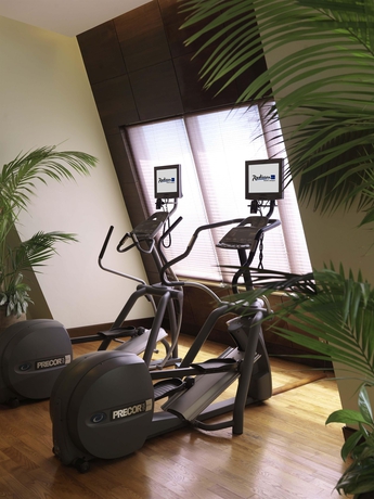 Imagen de los interiores del Hotel Radisson Blu Resort, Sharjah. Foto 12