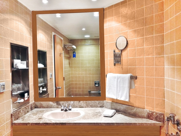 Imagen de la habitación del Hotel Radisson Blu Resort, Sharjah. Foto 7