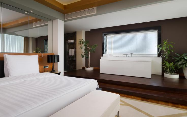 Imagen general del Hotel Radisson Blu Resort and Congress Centre, Sochi. Foto 15