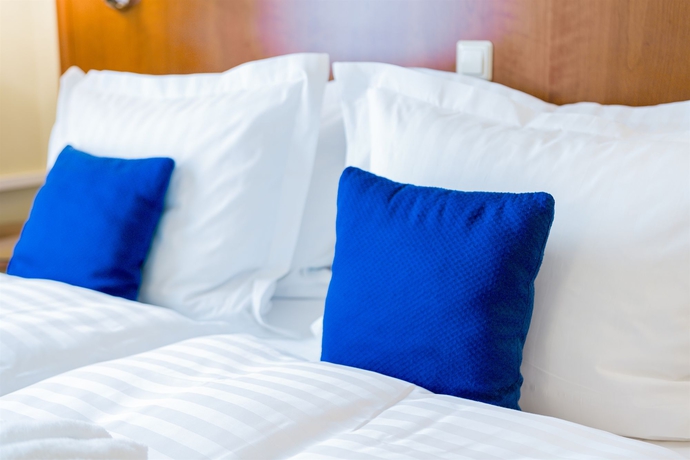 Imagen de la habitación del Hotel Radisson Blu Ridzene. Foto 11