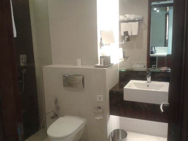 Imagen de la habitación del Hotel Radisson Blu Rudrapur. Foto 14