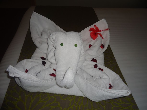 Imagen general del Hotel Radisson Blu Rudrapur. Foto 5