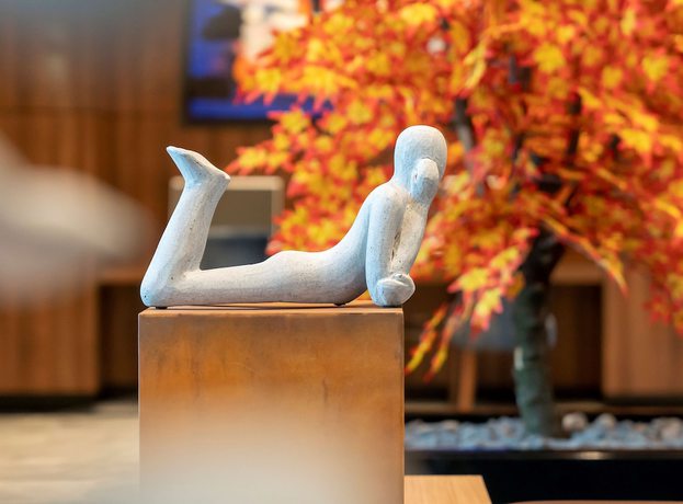 Imagen de los interiores del Hotel Radisson Blu , Sakarya. Foto 20