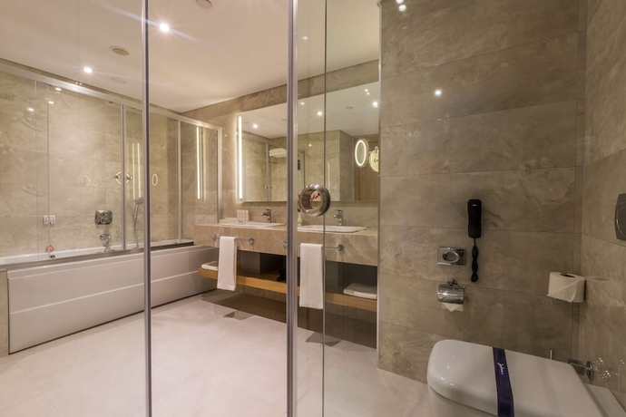 Imagen de la habitación del Hotel Radisson Blu Trabzon. Foto 16