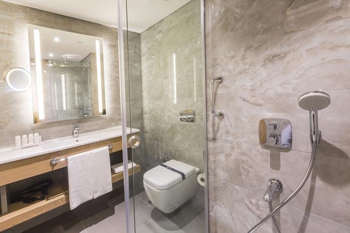 Imagen de la habitación del Hotel Radisson Blu Trabzon. Foto 18