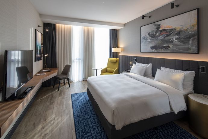 Imagen de la habitación del Hotel Radisson Blu and Conference Center, Niamey. Foto 13