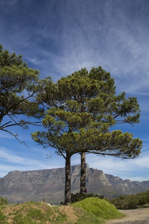 Imagen general del Hotel Radisson Cape Town Foreshore. Foto 1