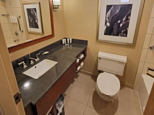Imagen de la habitación del Hotel Radisson Cedar Rapids. Foto 14