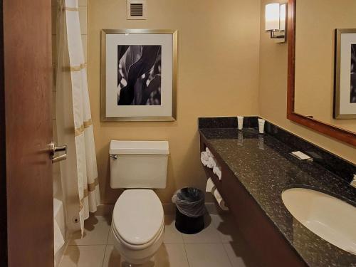 Imagen de la habitación del Hotel Radisson Cedar Rapids. Foto 19