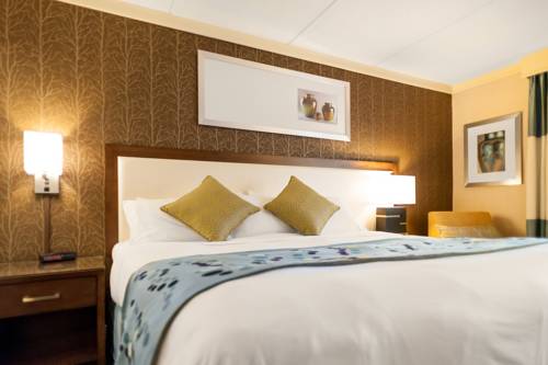 Imagen de la habitación del Hotel Radisson Corning. Foto 5