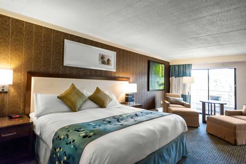 Imagen de la habitación del Hotel Radisson Corning. Foto 7