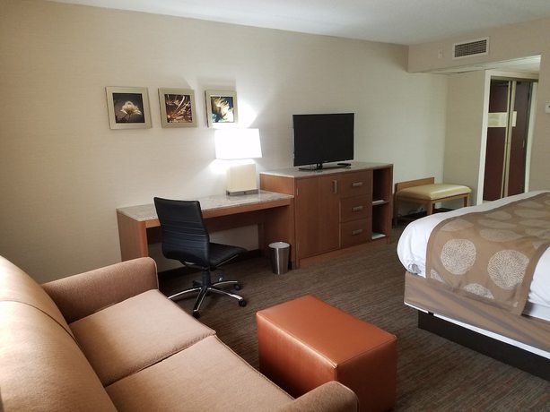 Imagen de la habitación del Hotel Radisson Detroit-Farmington Hills. Foto 15