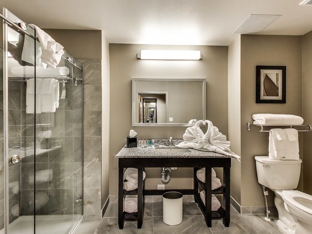 Imagen de la habitación del Hotel Radisson Edmonton Airport. Foto 9