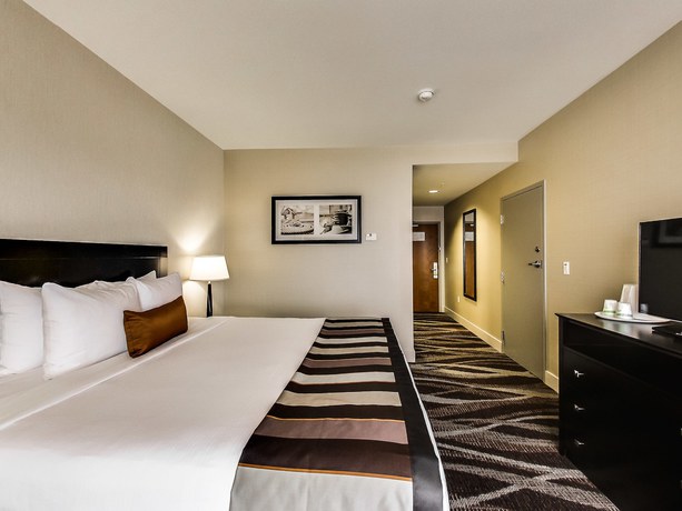 Imagen de la habitación del Hotel Radisson Edmonton Airport. Foto 10