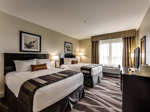 Imagen de la habitación del Hotel Radisson Edmonton Airport. Foto 16
