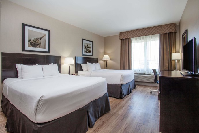 Imagen de la habitación del Hotel Radisson Edmonton Airport. Foto 17