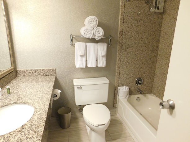 Imagen de la habitación del Hotel Radisson Fort Worth North-fossil Creek. Foto 9