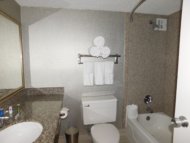 Imagen de la habitación del Hotel Radisson Fort Worth North-fossil Creek. Foto 11