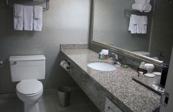 Imagen de la habitación del Hotel Radisson Fort Worth North-fossil Creek. Foto 17