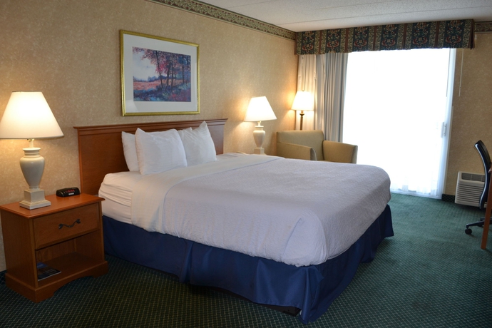 Imagen de la habitación del Hotel Radisson Hotel Niagara Falls-Grand Island. Foto 7