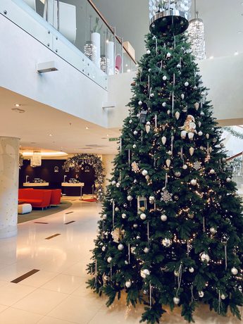 Imagen de los interiores del Hotel Radisson Kaliningrad. Foto 17