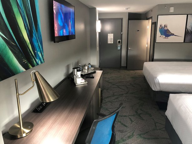 Imagen de la habitación del Hotel Radisson McAllen Airport. Foto 12