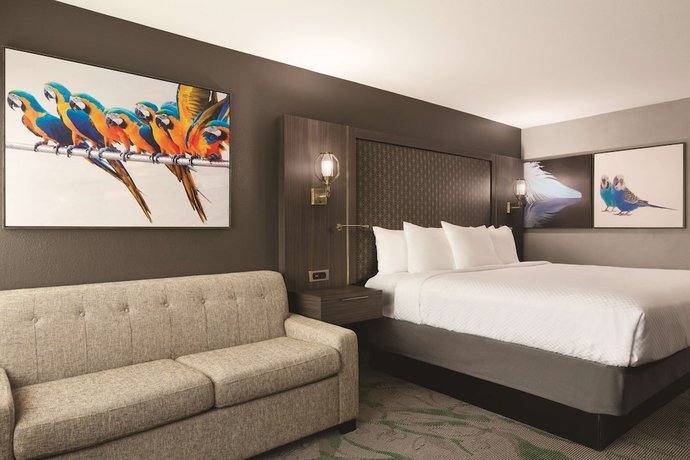 Imagen de la habitación del Hotel Radisson McAllen Airport. Foto 13