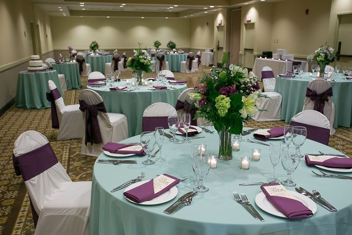 Imagen de los interiores del Hotel Radisson Nashville Airport. Foto 14
