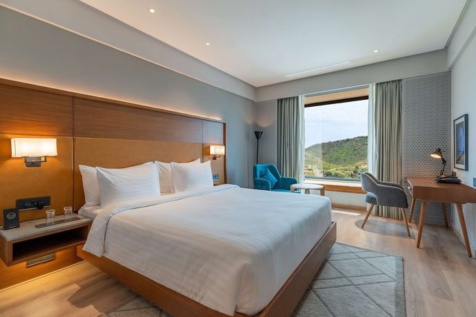 Imagen de la habitación del Hotel Radisson Nathdwara. Foto 13