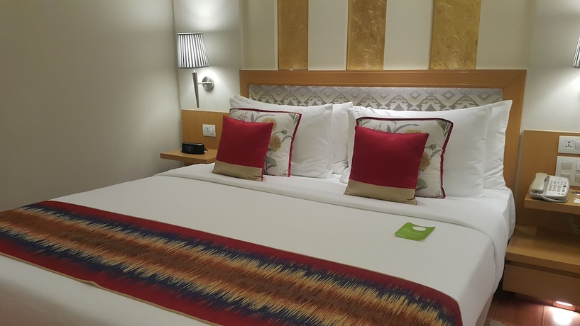 Imagen de la habitación del Hotel Radisson Noida. Foto 11