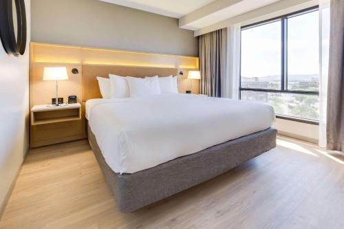 Imagen de la habitación del Hotel Radisson Phoenix Airport. Foto 19