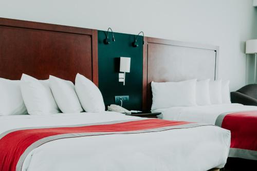 Imagen de la habitación del Hotel Radisson Poliforum Plaza. Foto 10