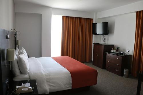 Imagen de la habitación del Hotel Radisson Poliforum Plaza. Foto 14