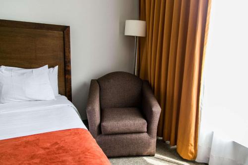 Imagen de la habitación del Hotel Radisson Poliforum Plaza. Foto 18