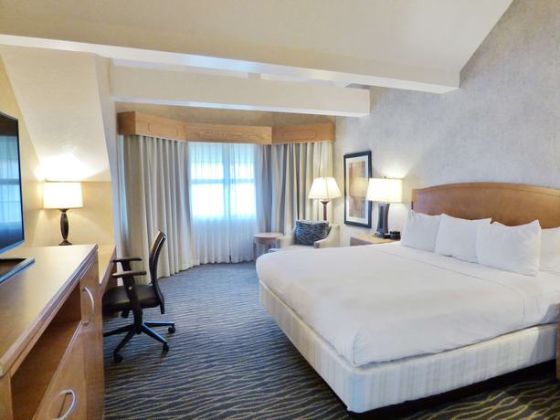 Imagen de la habitación del Hotel Radisson Salt Lake City Airport. Foto 15