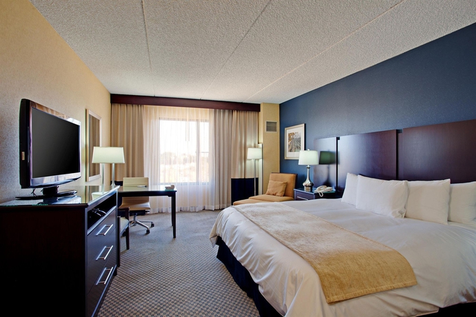 Imagen de la habitación del Hotel Radisson Santa Maria. Foto 7