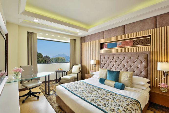 Imagen de la habitación del Hotel Radisson Srinagar. Foto 9