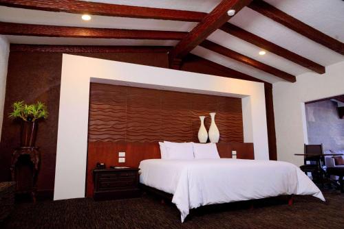 Imagen de la habitación del Hotel Radisson Tapatio Guadalajara. Foto 12