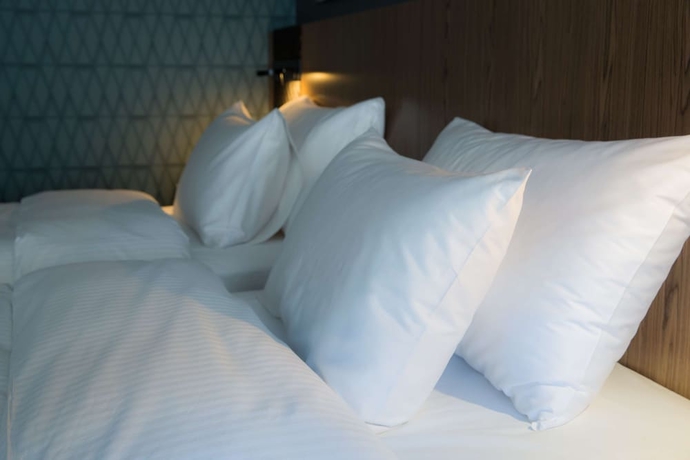 Imagen de la habitación del Hotel Radisson Udaipur. Foto 4