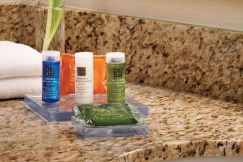 Imagen general del Hotel Radisson Vancouver Airport. Foto 3