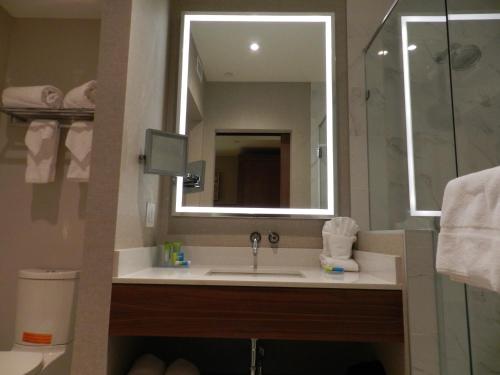 Imagen de la habitación del Hotel Radisson and Conference Centre Calgary Airport. Foto 10