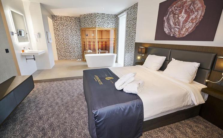 Imagen de la habitación del Hotel Radisson and Suites Amsterdam South. Foto 5