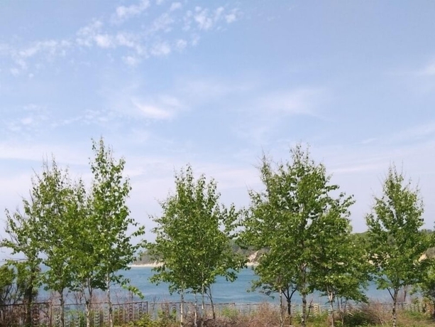 Imagen de los exteriores del Hotel Raduga. Foto 9