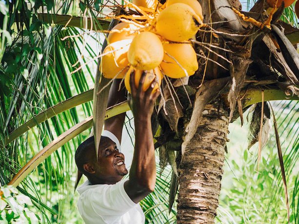 Imagen de los interiores del Hotel Raffles Seychelles. Foto 18