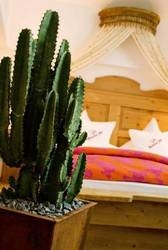 Imagen general del Hotel Raffl's St. Antoner Hof. Foto 5